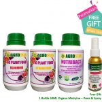 AGROSTAR – Fig Plant Food (Blooming & Strengthen) complete with Amino Acid, NPK, Calcium, Magnesium, Sulphur, Trace Elements fortified with Titanium (2 X 250ML) and NutriBact (250ML) Premium Pack plus Free Gift