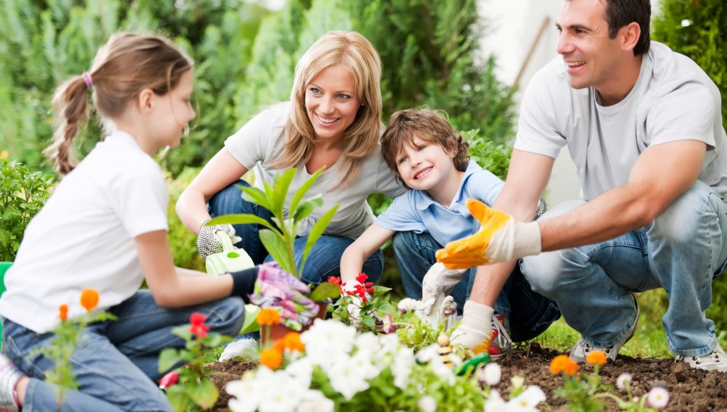 Happy Gardener