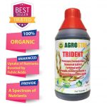 Trident 1L