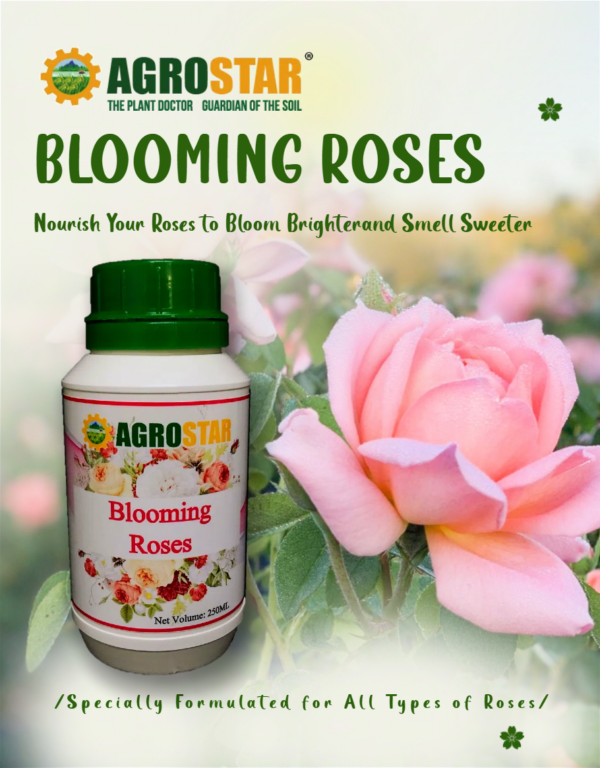 Blooming Roses Fertilizer 250ML - Image 2