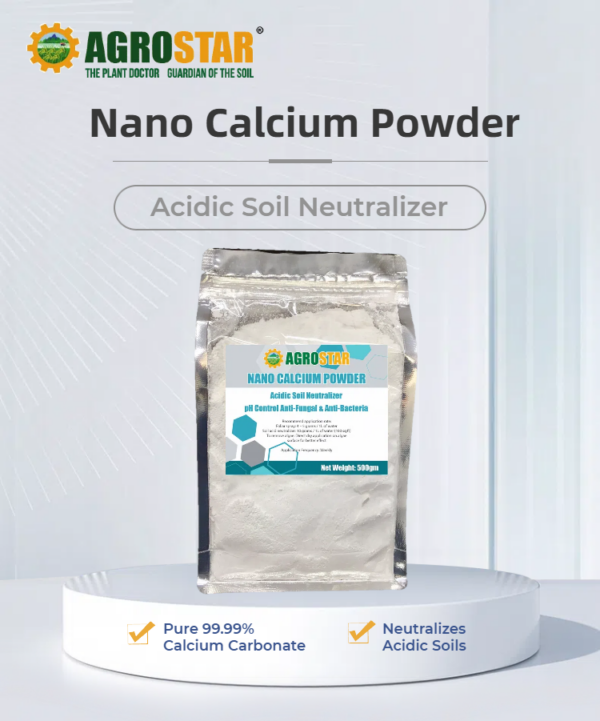 Nano Calcium Powder 500GM - Image 2