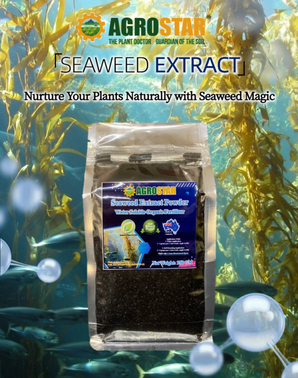 Seaweed Extract Powder 250GM - Image 2