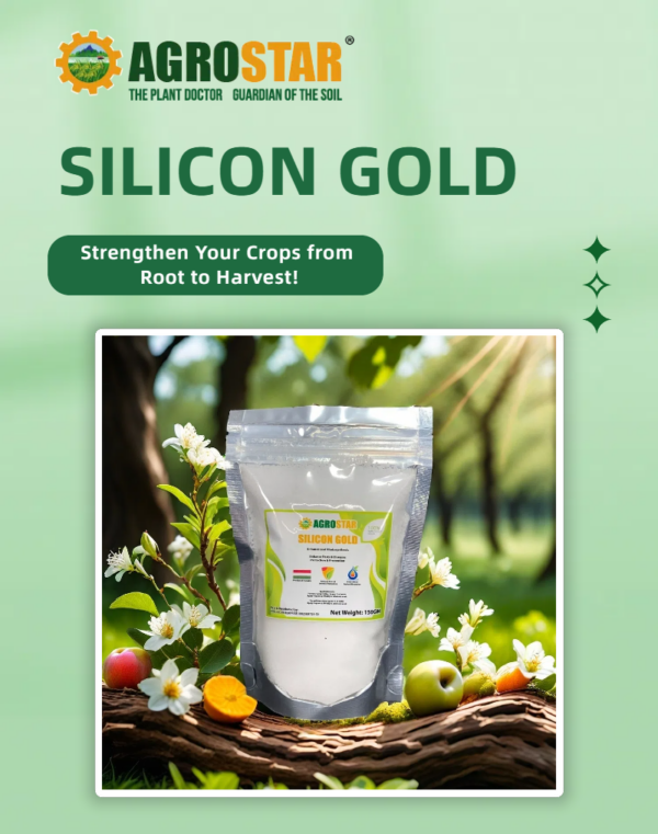 Silicon Gold 100% Water Soluble Silicon Powder 150GM - Image 2