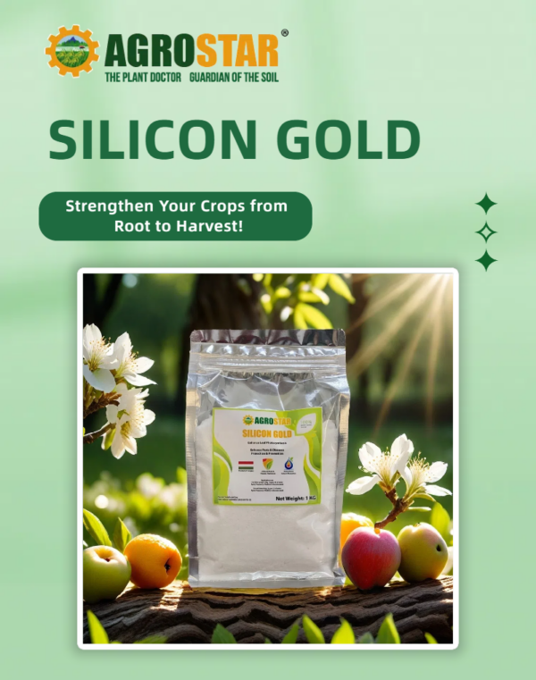 Silicon Gold 100% Water Soluble Silicon Powder 1KG - Image 2