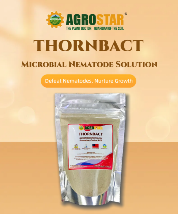 Thornbact Nematodes Exterminator 100GM - Image 2