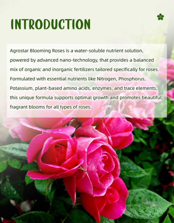 Blooming Roses Fertilizer 250ML - Image 3