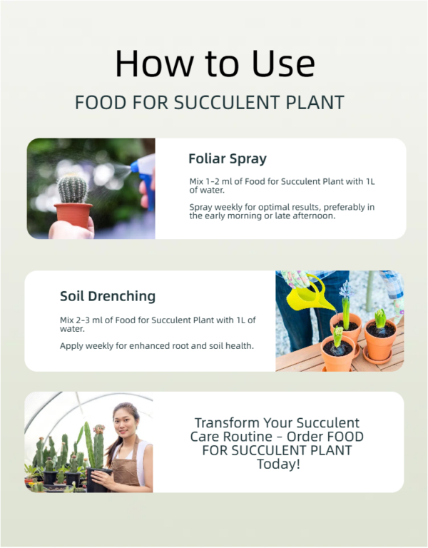 Food for Succulent Plant 250ML - Image 6