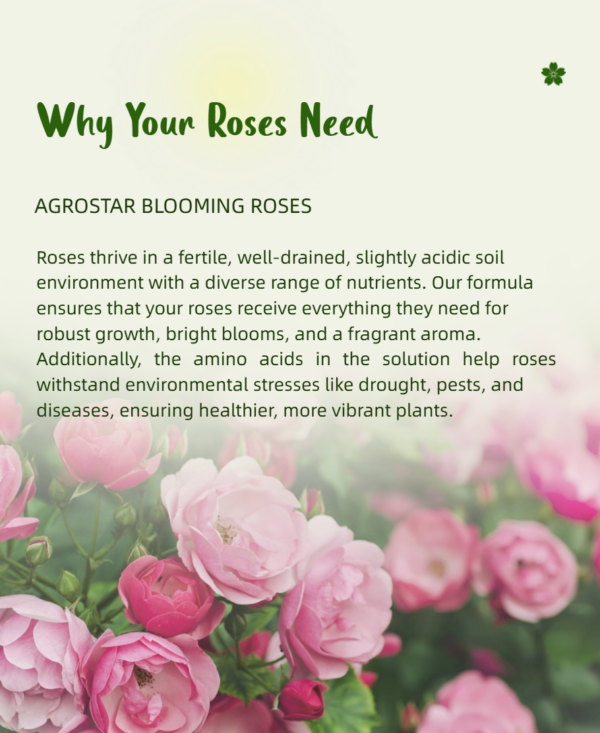 Blooming Roses Fertilizer 250ML - Image 6