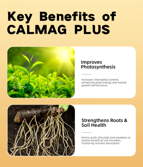 CALMAG PLUS Bio-available Ca and Mg 1L - Image 6