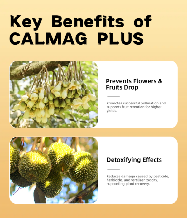 CALMAG PLUS Bio-available Ca and Mg 1L - Image 7