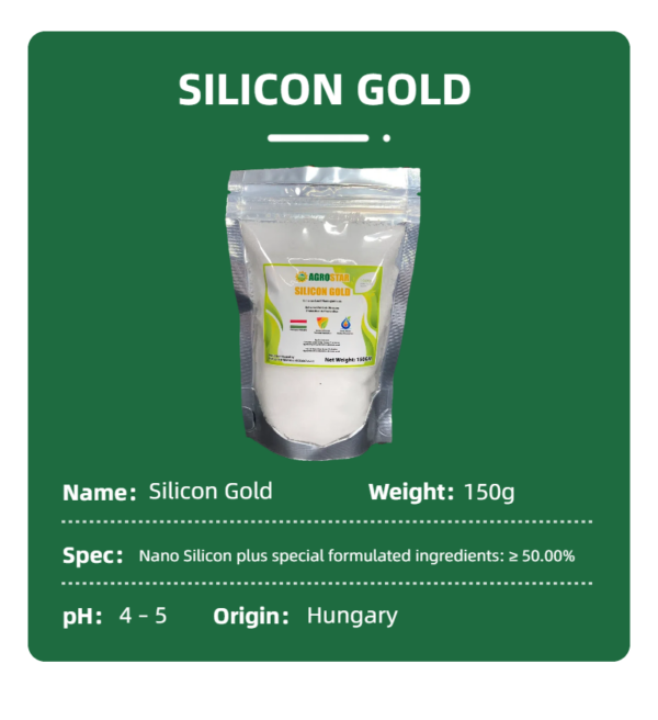 Silicon Gold 100% Water Soluble Silicon Powder 150GM - Image 9