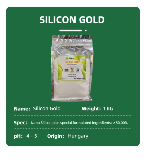 Silicon Gold 100% Water Soluble Silicon Powder 1KG - Image 9