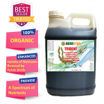 Trident 10L