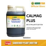 CALMAG PLUS 10L