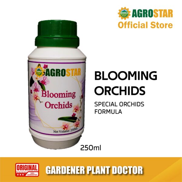 Blooming Orchids 250ML