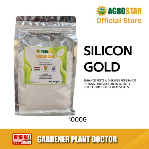 Silicon Gold 100% Water Soluble Silicon Powder 1KG