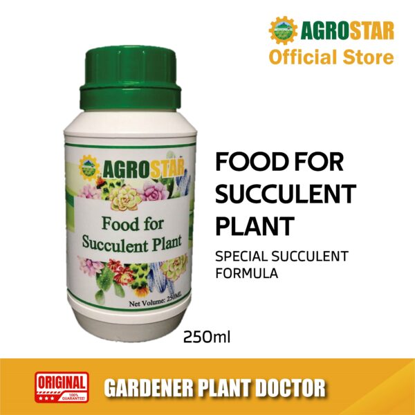 Food for Succulent Plant 250ML