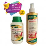 Air Plant Essential (Tillandsia) 250ML