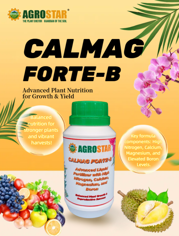 CalMag Forte-B 250ML - Image 2