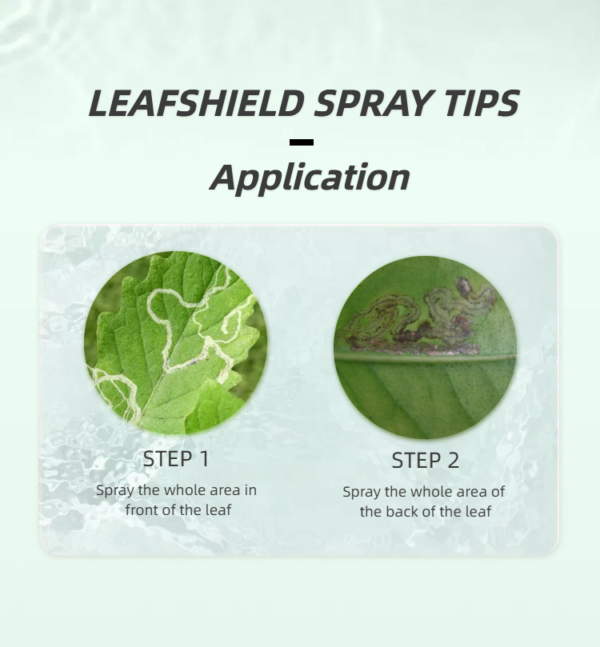 LeafShield Spray Leaf Miners Control 500ML - Image 6