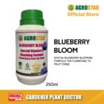 Blueberry Bloom 250ML