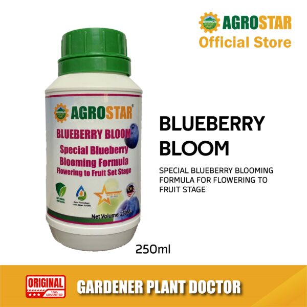 Blueberry Bloom 250ML