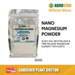Nano Magnesium Powder 500GM